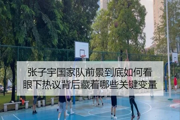 张子宇国家队前景到底如何看 眼下热议背后藏着哪些关键变量 | boyaqipai
